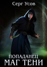 Обложка книги «Попаданец. Маг Тени. Книга 13»