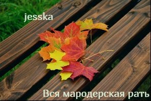 Обложка книги «Вся мародерская рать»