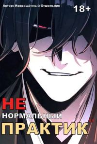 Обложка книги «Ненормальный практик 11»