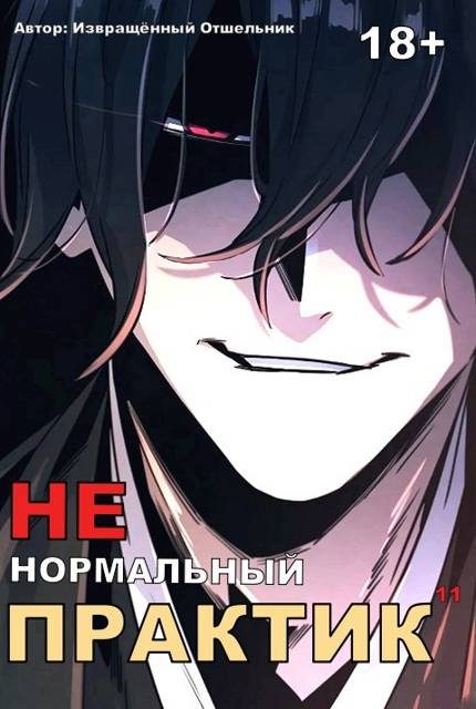 Обложка книги «Ненормальный практик 11»