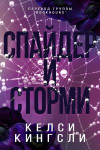 Обложка книги «Спайдер и Сторми»