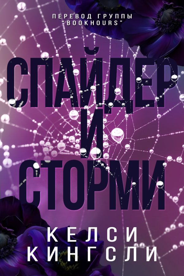 Обложка книги «Спайдер и Сторми»