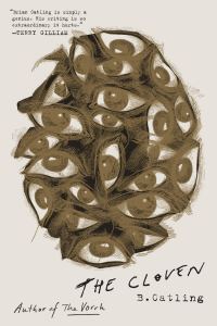 Обложка книги «Разделенный»