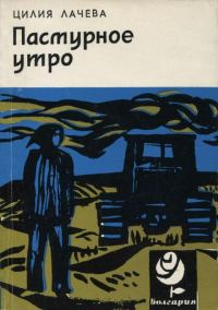 Обложка книги «Пасмурное утро»