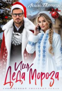 Обложка книги «Ищу Деда Мороза»
