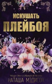 Обложка книги «Искушать плейбоя»