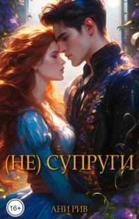 Обложка книги «(Не) Супруги»