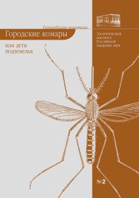 Обложка книги «Городские комары, или «Дети подземелья»»