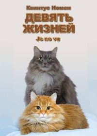 Обложка книги «Девять жизней Je ne vu»