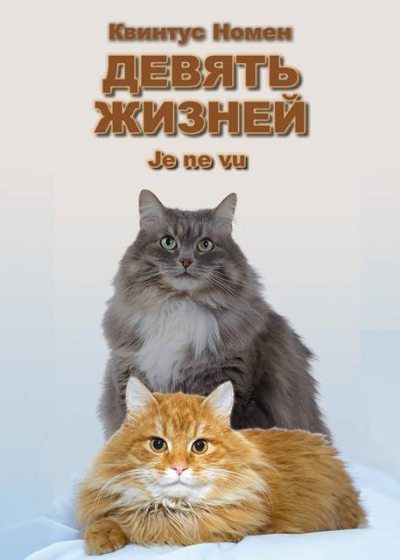 Обложка книги «Девять жизней Je ne vu»