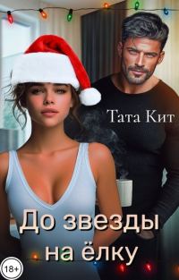 Обложка книги «До звезды на ёлку»