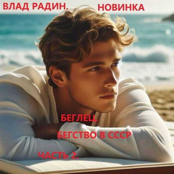 Обложка книги «Бегство в СССР. Часть 2»