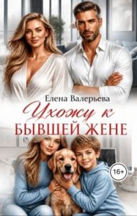 Обложка книги «Ухожу к бывшей жене»