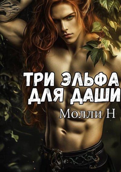 Обложка книги «Три эльфа для Даши»