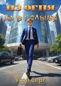 Обложка книги «Из огня да в полымя. Книга 3»