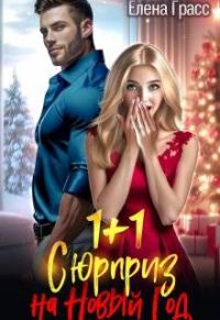 Обложка книги «1 + 1. Сюрприз на Новый год»