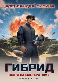 Обложка книги «Охота на мастера. Том 3»