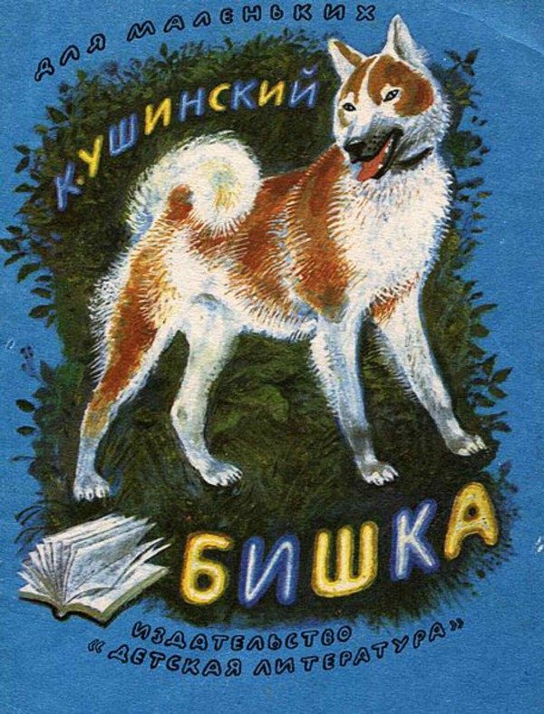 Обложка книги «Бишка»