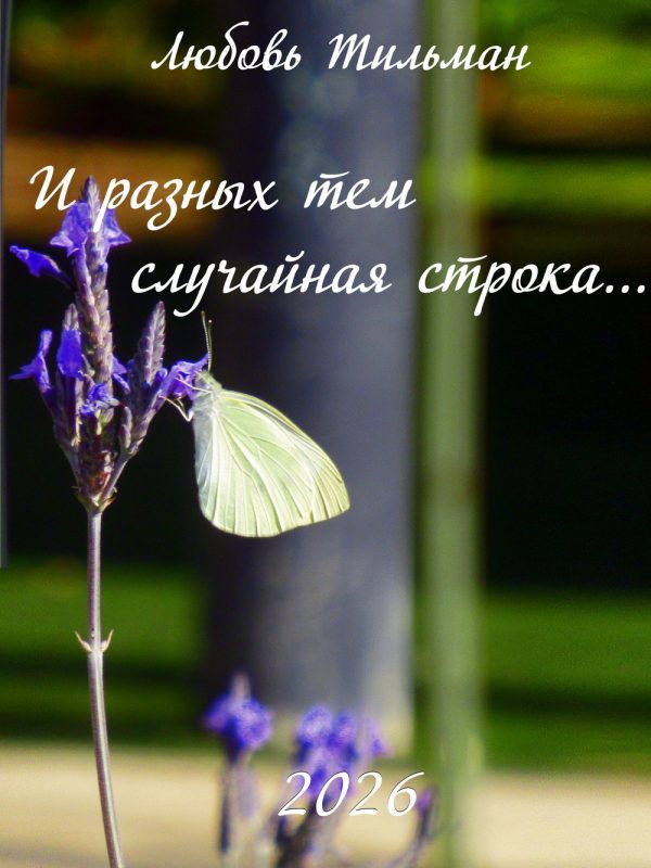 Обложка книги «И разных тем случайная строка»
