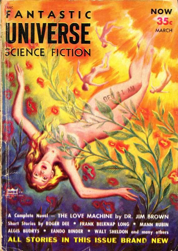 Обложка книги «Космическое кораблекрушение»