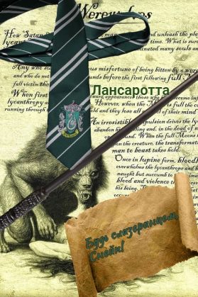Обложка книги «Будь слизеринцем, Снейп!»