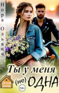 Обложка книги «Ты у меня не одна»