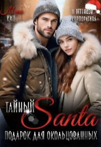 Обложка книги «Тайный Санта. Подарок для окольцованных»