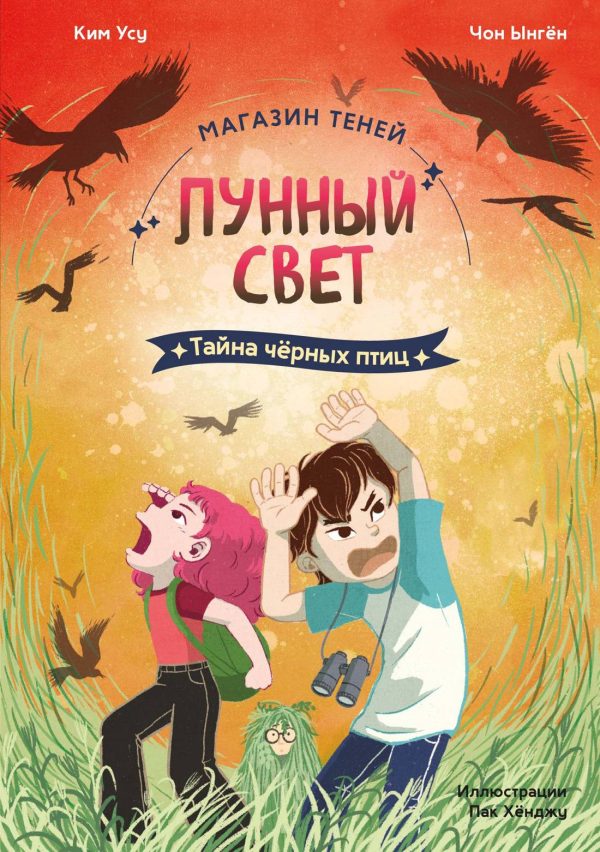 Обложка книги «Тайна чёрных птиц»