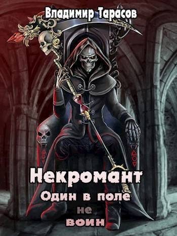 Обложка книги «Некромант. Космос»