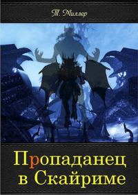 Обложка книги «Пропаданец в Скайриме»