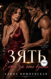 Обложка книги «Зять. Есть за что взять»