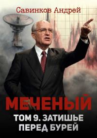 Обложка книги «Меченый. Том 9. Затишье перед бурей»