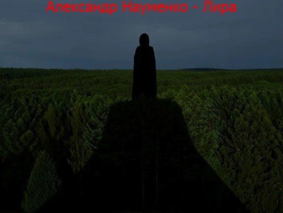 Обложка книги «Лира.»