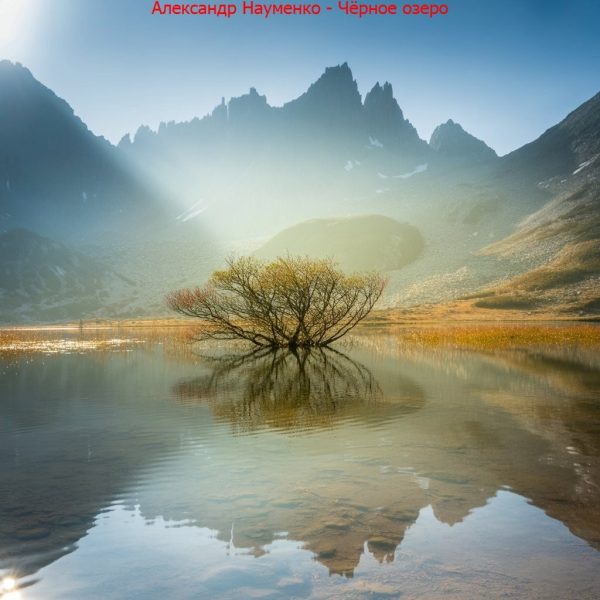 Обложка книги «Чёрное озеро.»