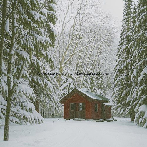 Обложка книги «Замёрзшие во тьме.»