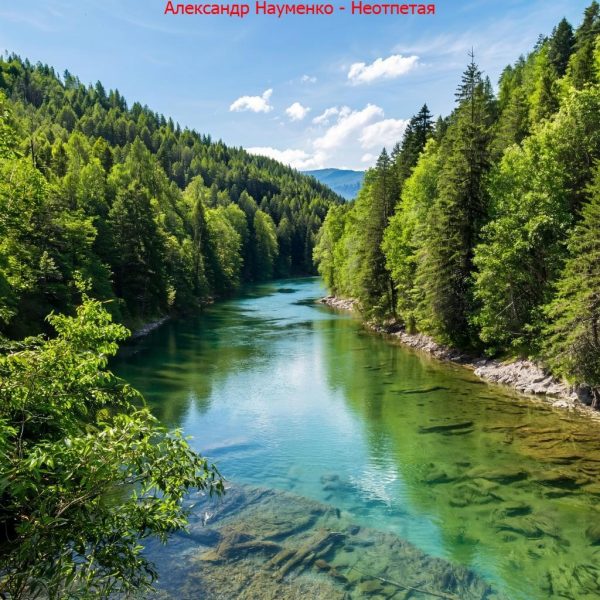 Обложка книги «Неотпетая»