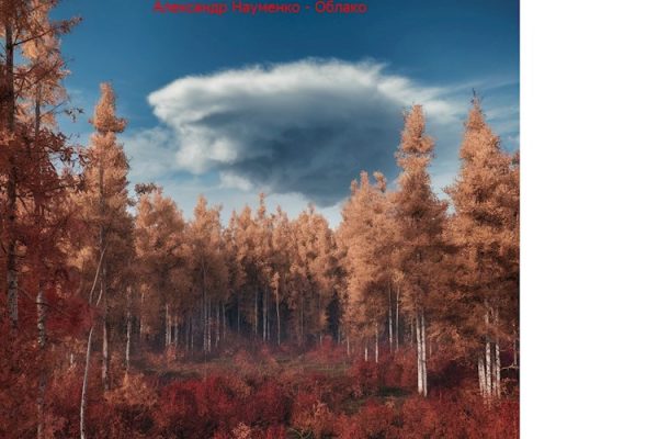 Обложка книги «Облако»