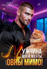 Обложка книги «Мужчина моей мечты, или Овны мимо!»