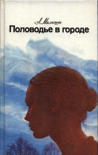 Обложка книги «Половодье в городе»