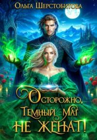 Обложка книги «Осторожно, темный маг не женат!»