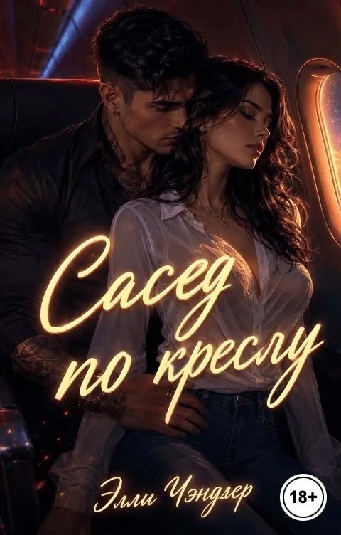Обложка книги «Сосед по креслу. Мы не можем делать такое в самолёте!»