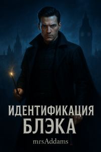 Обложка книги «Идентификация Блэка»
