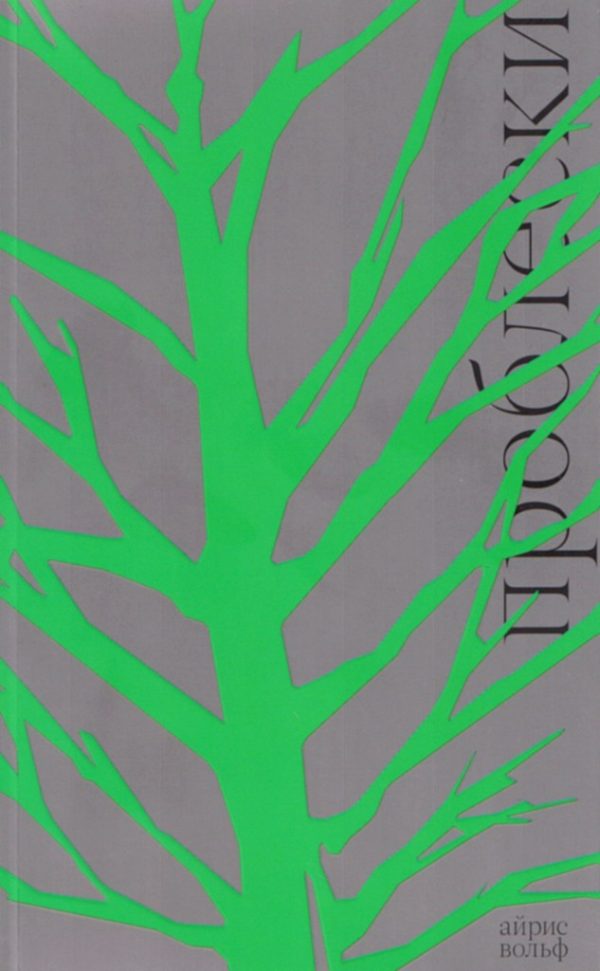 Обложка книги «Проблески»