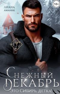 Обложка книги «Снежный Декабрь»