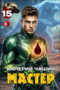 Обложка книги «Мастер 15»