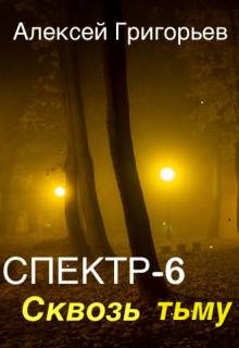 Обложка книги «Сквозь тьму»
