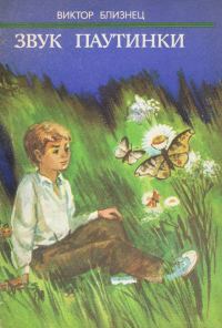 Обложка книги «Звук паутинки»