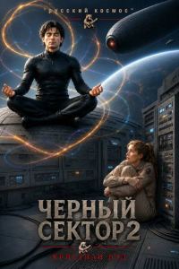 Обложка книги «Чёрный сектор 2»