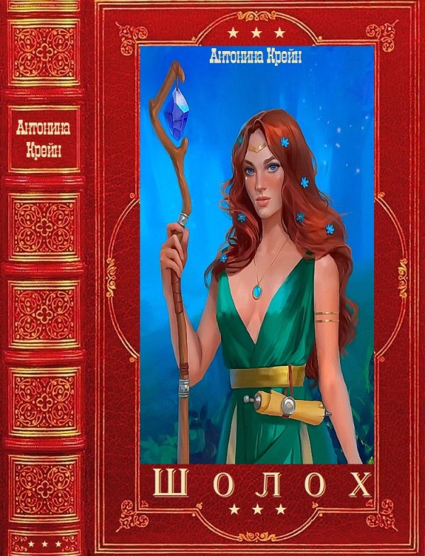 Обложка книги «Шолох»