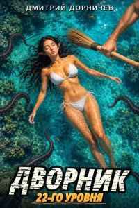 Обложка книги «Дворник 22-го уровня. Том 9»